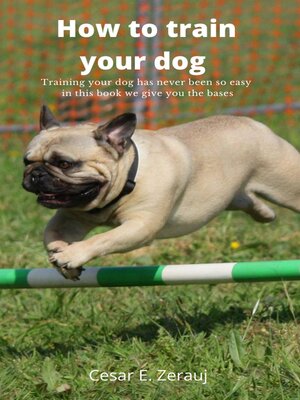 cover image of How to train your dog    Training your dog has never been so easy in this book we give you the bases